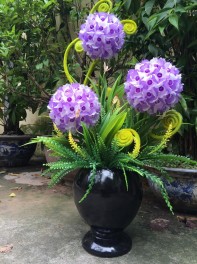 Hoa cẩm tú cầu. Mã HPL 169